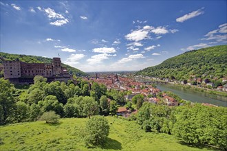 View of Heidelberg Castle and castle ruins and the city of Heidelberg from the Scheffelterrasse,