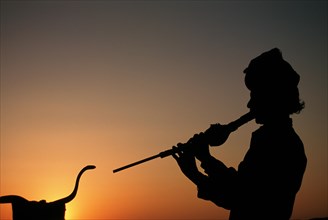 Silhouette of a snake charmer, playing music to charm a cobra, Rajasthan, India, Asia