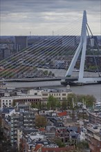 Panoramic view of a city with a prominent bridge over a wide river, view from above of a modern