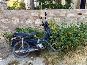 A moped parked against an old wall is overgrown with vines, Crete, Greece, Europe