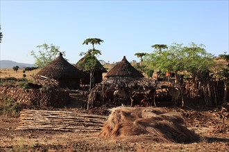 South Ethiopia, a village of the Konso people, Ethiopia, Africa