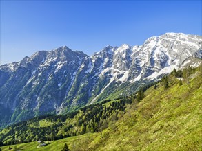 Hoher Goell with snow, blue sky, Rossfeld Panoramastrasse, Goellmassiv, Russfeld, Kuchl, Tennengau,