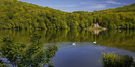 Seeschloesschen, also known as Funkenburg or Villa Niedernhofen, north shore, Hengsteysee,