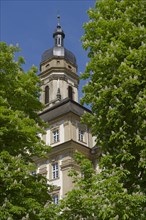 Monastery church, church tower, Schoental, chestnut tree, horse chestnut, common horse-chestnut