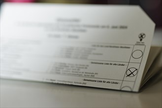 TOPIC: European election, polling card from North Rhine-Westphalia for the European election BONN,