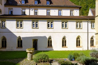 Herb garden in the inner courtyard, cloister, Blaubeuren Monastery, Swabian Alb,