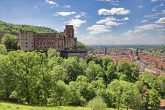 View of Heidelberg Castle and castle ruins and the city of Heidelberg from the Scheffelterrasse,