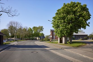 Main street with horse chestnut (Aesculus hippocastanum) and bus stop in Schafstedt, Dithmarschen