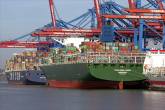Container ship being unloaded at Burchardkai, Hamburg, 01.11.2014., Hamburg, Germany, Europe