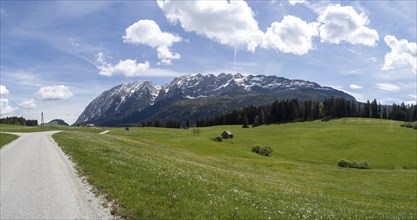 Meadow at the edge of the forest, behind the Grimming, Salzkammergut cycle path, panoramic view,