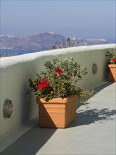 Terrace with flower pots and red flowers overlooking the sea, The volcanic island of Santorini with