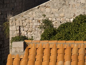 Orange tiled roof and green plants on an old stone wall in a sunny setting, the old town of