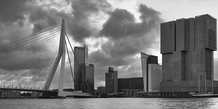 Nieuwe Maas with Erasmus Bridge and skyscrapers, Rotterdam, South Holland, Netherlands
