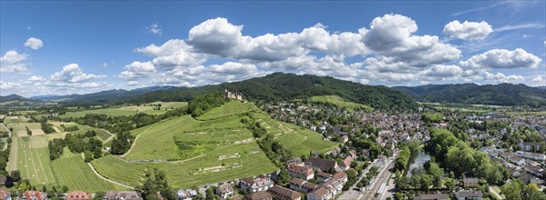 Aerial view, panorama of Staufen Castle, on a vineyard, Schlossberg, Staufen im Breisgau,