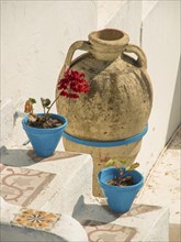 A large clay jug and two blue flower pots with plants adorn a rustic Mediterranean-style staircase,