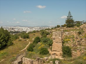Ruins and cityscape in the background with vegetation and a path under a blue sky, Tunis in Africa