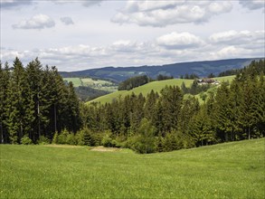 Hilly landscape, meadows and forest, Joglland, near St. Jakob im Walde, Styria, Austria, Europe