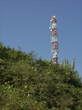 A transmission mast stands behind dense vegetation under a clear blue sky, Heligoland, Germany,