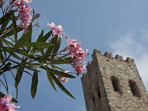 Close-up of a stone tower with pink blooming flowers in the foreground and blue sky in the