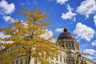 Autumn tree in front of Humboldtforum, Berlin, Germany, Europe