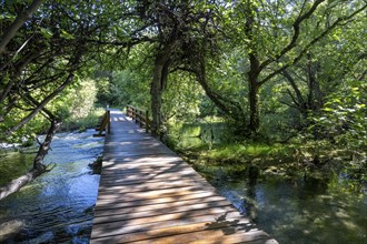 Wooden footbridge in Krka National Park, Krka Waterfalls, Dalmatia, Croatia, Europe