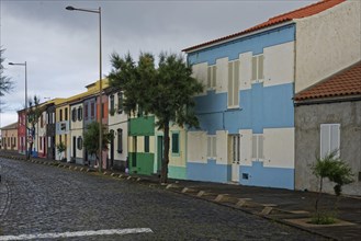 A quiet street with colourful houses, lined with trees, under a cloudy atmosphere, coastal town of