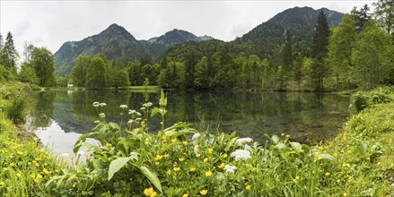 Christlessee, a mountain lake in the Trettachtal valley, near Oberstdorf, Oberallgaeu, Allgaeu,