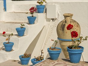 Blue flower pots with red flowers on a white staircase and terrace, Tunis in Africa with ruins from