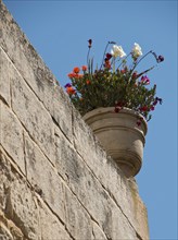 A pot of colourful flowers stands on a stone wall in the open air, the town of mdina on the island