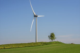 Wind turbine and lone tree in green landscape against blue sky at Smedstorp, Tomelilla