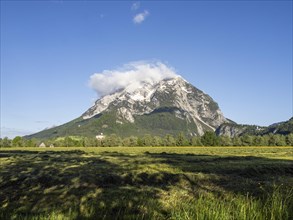 Freshly mown meadow, with the Grimming massif in the background in the morning light, near Irdning,