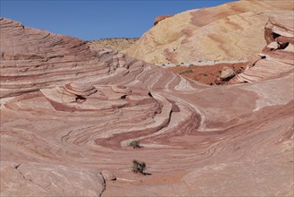 Layered rock formations along the Fire Wave Trail at Valley of Fire State Park near Overton,