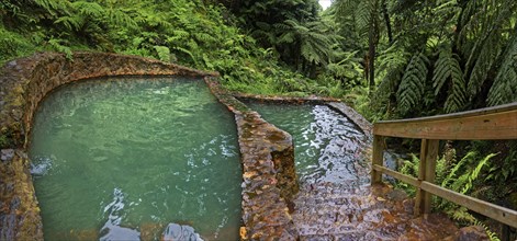 Two turquoise-coloured thermal pools made of stone, surrounded by lush vegetation and ferns,