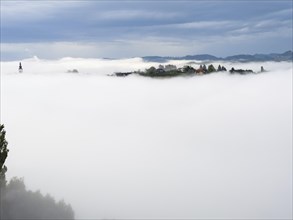 Church rises out of the morning mist, Frauenberg pilgrimage church, near Leibnitz, Styria, Austria,