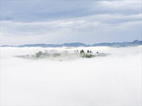 Morning fog over the village of Frauenberg, view from Silberberg, near Leibnitz, Styria, Austria,