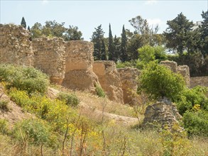 Remains of ancient walls in a landscape of green and yellow vegetation under a blue sky, Tunis in