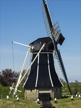 Traditional windmill stands on a green meadow under a clear blue sky, Enkhuizen, Nirderlande