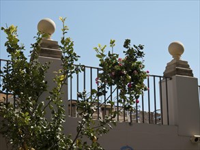 Balustrade with plants in pots and decorations, blue sky above in sunny weather, the town of mdina