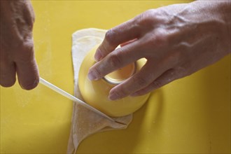 Preparation of fresh homemade pasta mezzaluna with ricotta, cutting out the dumplings