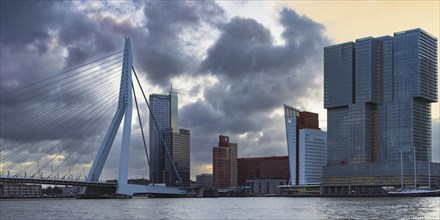 Nieuwe Maas with Erasmus Bridge and skyscrapers, Rotterdam, South Holland, Netherlands