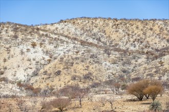 Barren dry landscape with white and yellow hills, Kaokoveld, Kunene, Namibia, Africa
