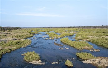 Olifants River, Kruger National Park, South Africa, Africa