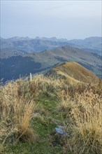 Path through the grasses, leading to a mountain range in the background, mountain panorama with