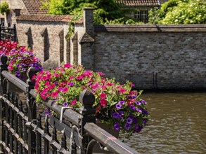 Colourful flower box on the railing of a canal with historic buildings in the background on a