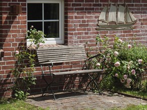 A wooden bench next to rose bushes in front of a red brick wall with a window, Baltrum Germany
