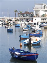 Many colourful boats are in the calm harbour water in front of buildings and palm trees, The city