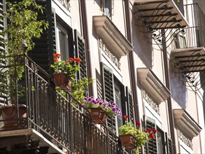 Cityscape with balconies decorated with flowers and shutters along a building, palermo in sicily