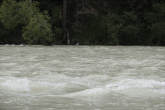 Force of nature, river, flood, high water, turbid, Isar, Bad Toelz, Bavaria, Germany, Europe