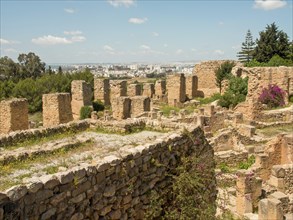 Ruins of a historic city partially surrounded by vegetation, Tunis in Africa with ruins from Roman
