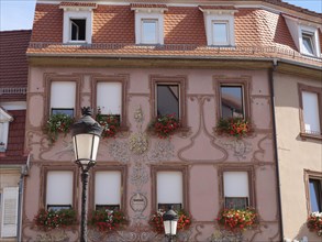 Historic half-timbered houses with floral decorations in Alsace, Wissembourg, France, Europe